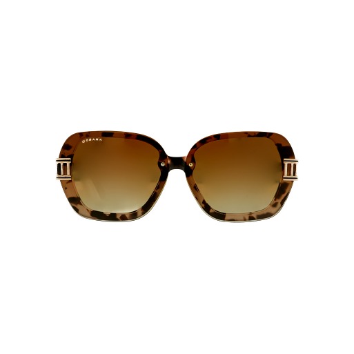 Lunettes de soleil polarisée